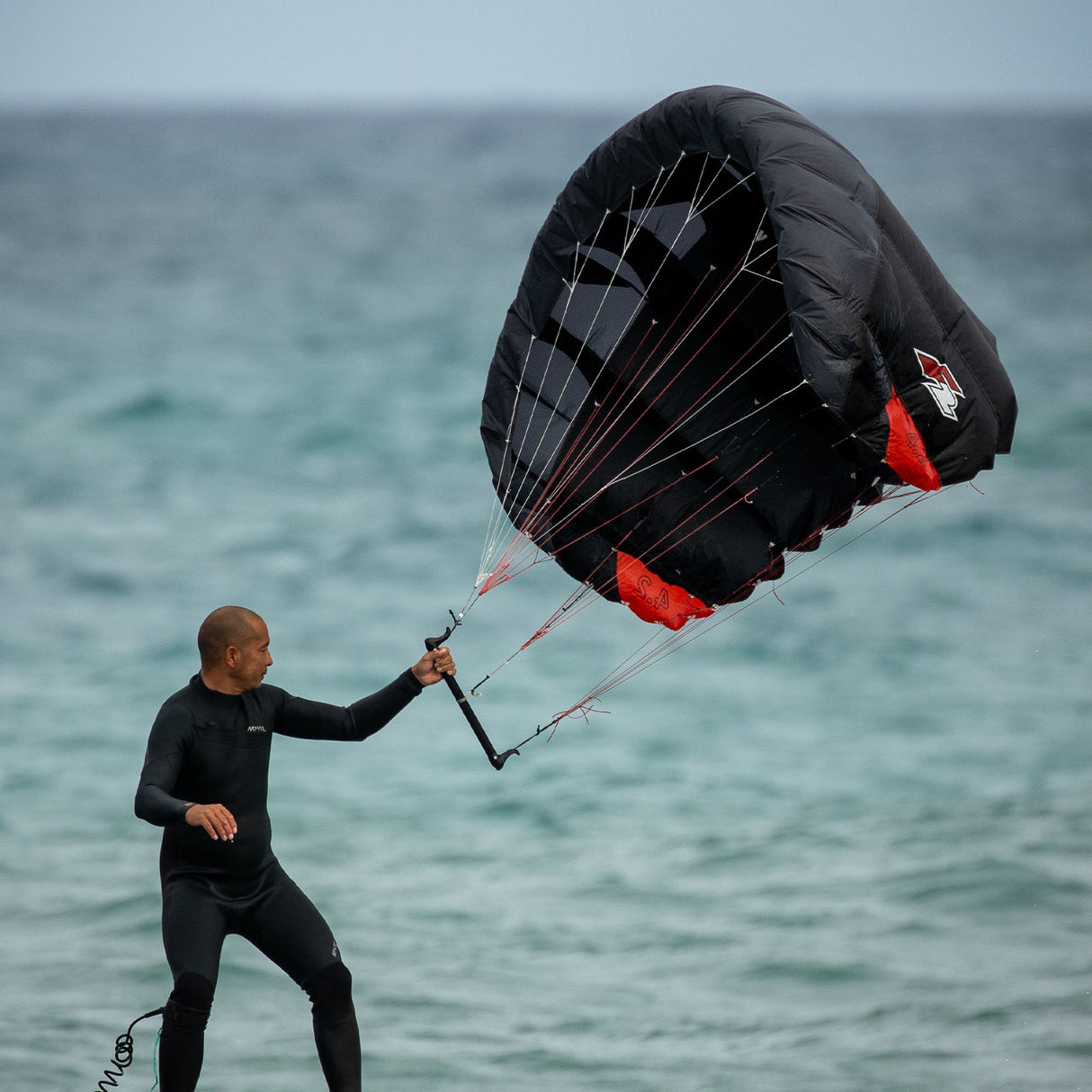 F2 Parawing Move Pro Wingfoil Wing Kitesurfing Größe wählbar Schwarz 2025